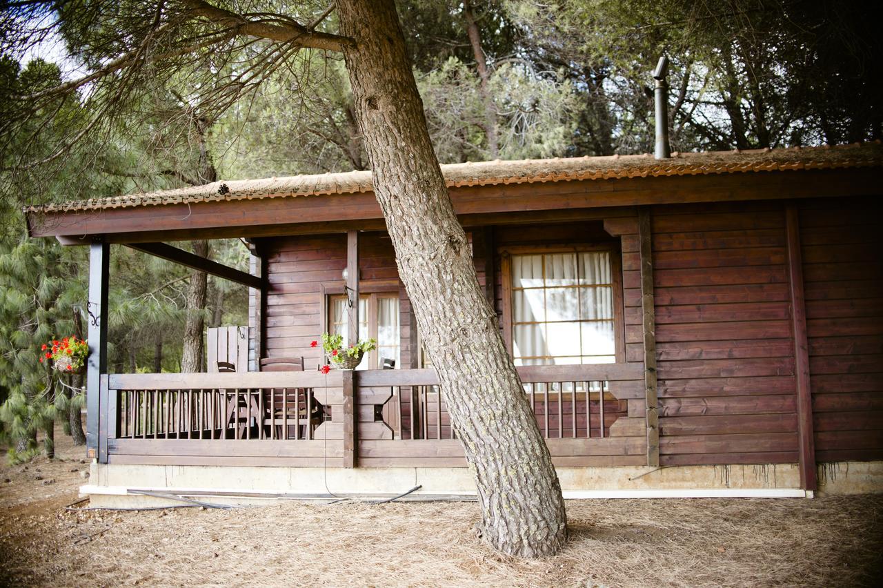 Kibbutz Ortal Tourism Ξενοδοχείο Εξωτερικό φωτογραφία