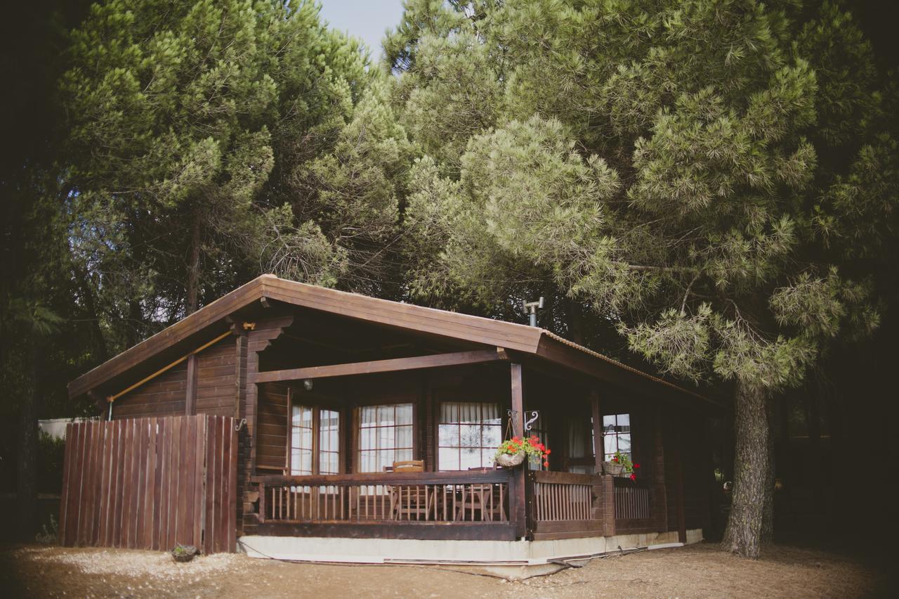 Kibbutz Ortal Tourism Ξενοδοχείο Εξωτερικό φωτογραφία